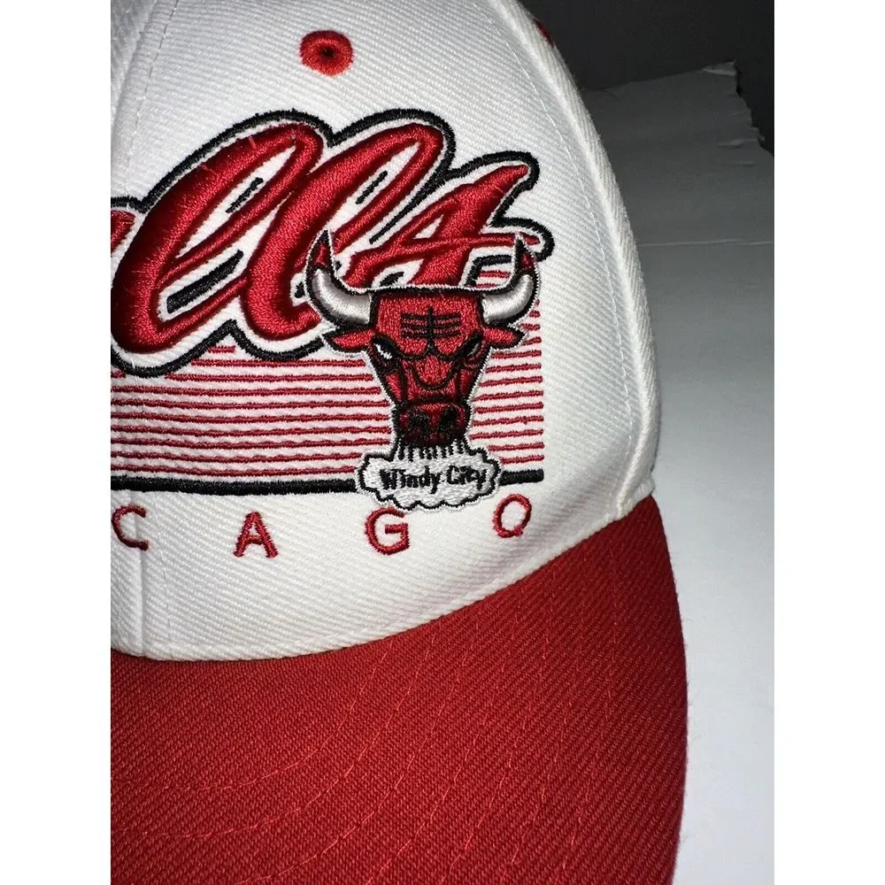 vintage hardwood classics chicago bulls Basketball NBA hat snapback cap 90s Rare